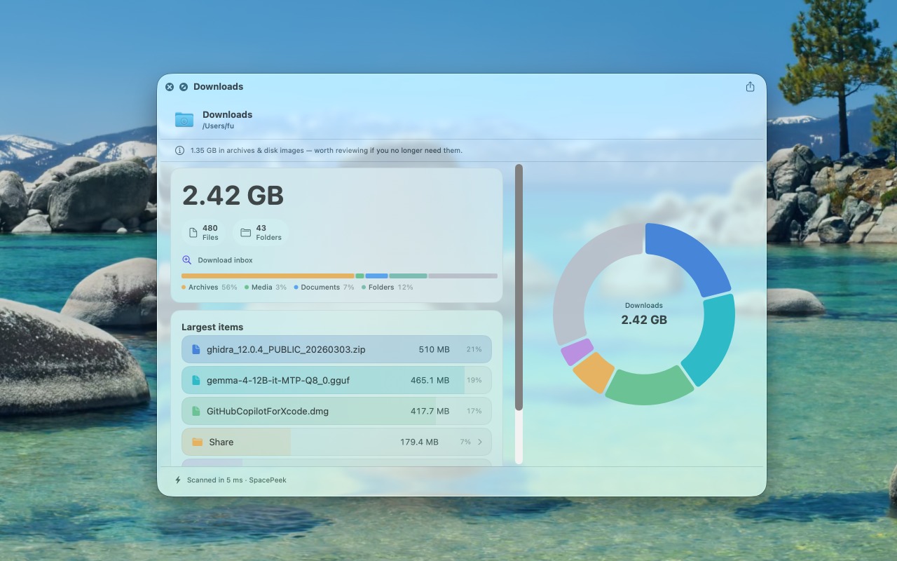 SpacePeek showing Downloads folder content types and largest items